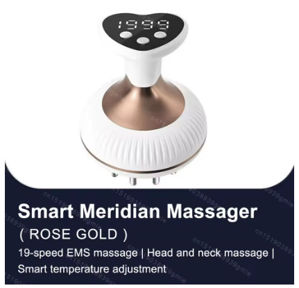 6‑in‑1 Electric Meridian Brush Gua Sha Microcurrent Massager